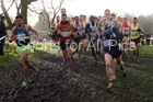 Senior men and under-23 mens 2017 British Athletics Liverpool Cross Challenge, Sefton Park, Liverpool. Photo:  David T. Hewitson/Sports for All Pics